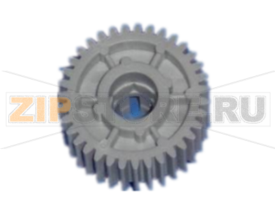 Gear NCR S1     