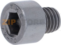 CYLINDRICAL HEAD SCREW M8x8