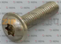 VIS M6x25 TETE PLATE TORX