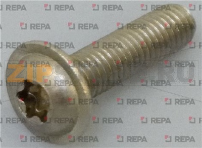 VIS M6x25 TETE PLATE TORX 