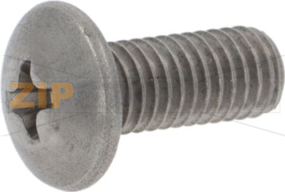 Screw M5 X 12 Tcbl Ph Inox 