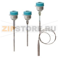 POINTEK CLS300 - DIGITAL — КАБЕЛЬНОЕ ИСПОЛНЕНИЕ С РЕЗЬБОВЫМ ИЛИ ФЛАНЦЕВЫМ ПОДКЛЮЧЕНИЕМ К ТЕХНОЛОГИЧЕСКОМУ ПРОЦЕССУ: ЕМКОСТНОЙ СИГНАЛИЗАТОР УРОВНЯ С ИНВЕРСНЫМ ИЗМЕНЕНИЕМ ЧАСТОТЫ ПРИ ИЗМЕНЕНИИ ЕМКОСТИ, С ОПЦИОНАЛЬНЫМИ ПОДКЛЮЧЕНИЯМИ К ТЕХНОЛОГИЧЕСКОМУ ПРОЦЕС