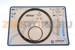 CARPICARE KIT LABO XPL XPL/P DGT 12M 