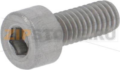 ШУРУП ИЗ НЕРЖ.СТАЛИ T.C.C.E.I M4X10 UNI 5931 