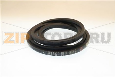 CINGHIA PER SFOGLIATRICE SIRIO 600 