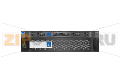 Система хранения данных NetApp SGF6024 