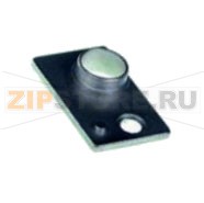 Установочная ось двери Rational SCC, CM 201/202 начиная с 04/2004
