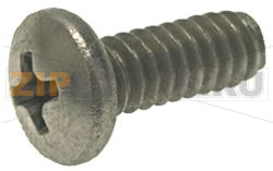 VITE A TESTA SVASATA CON CALOTTA 