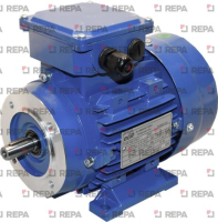 MOTEUR TRIPHASE
