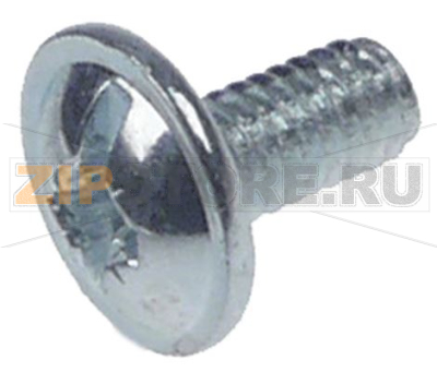 SCREW 4x8 CROSS HEAD 