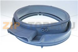 Gasket 