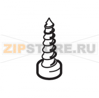 Vite aut. TCB 3,0x6,0 PT WN1412 Saeco Royal Digital Plus