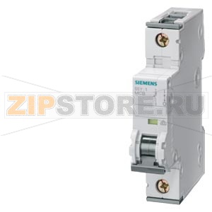 АВТОМАТИЧЕСКИЙ ВЫКЛЮЧАТЕЛЬ 230/400V 10KA, 1-ПОЛ., C, 60A, D=70MM Siemens 5SY4160-7 