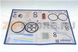CARPICARE KIT 243 N ICE CREAM&amp;amp;EVO 6/12M 