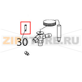 Orifice Angelo Po DS51M Orifice Angelo Po DS51MЗапчасть на деталировке под номером: 30
