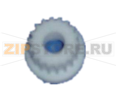 Gear NCR S1     