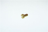 VITE TC M4X8 OTTONE