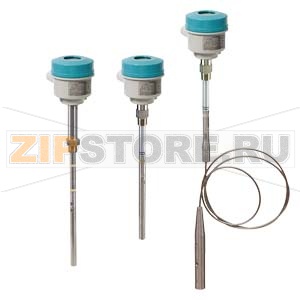 POINTEK CLS300 - DIGITAL — ВЫСОКОТЕМПЕРАТУРНОЕ ИСПОЛНЕНИЕ С РЕЗЬБОВЫМ ИЛИ ФЛАНЦЕВЫМ ПОДКЛЮЧЕНИЕМ К ТЕХНОЛОГИЧЕСКОМУ ПРОЦЕССУ: ЕМКОСТНОЙ СИГНАЛИЗАТОР УРОВНЯ С ИНВЕРСНЫМ ИЗМЕНЕНИЕМ ЧАСТОТЫ ПРИ ИЗМЕНЕНИИ ЕМКОСТИ, С ОПЦИОНАЛЬНЫМ СТЕРЖНЕМ/КАБЕЛЕМ И КОНФИГУРИРУ 