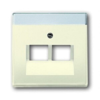 Накладка для двухпостовой розетки ABB 2CKA001710A3146