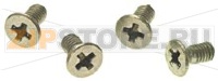 TSPEI SCREW M3X6, DIAM. 1,4 S/STEEL