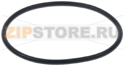 GASKET OR FOR ELECTRIC PUMP FILTER 
