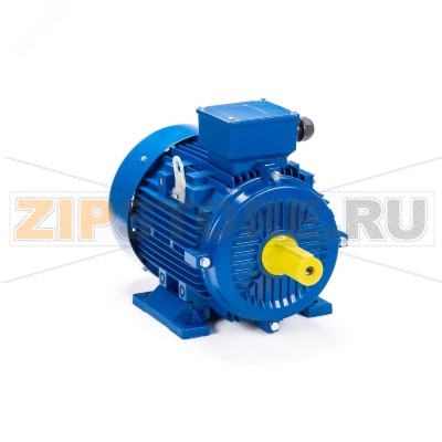 Электродвигатель 37 кВт, 380/660 В, 1500 об/мин, IP55 ESQ 01.05.221628 