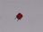 Fuse 1 A    (round plug fuse)