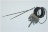 THERMOSTAT DOUBLE SONDE
