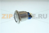 Power Switch22mm 250V