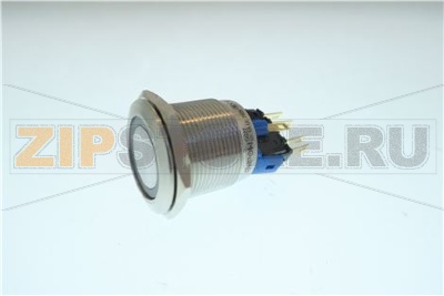 Power Switch22mm 250V 