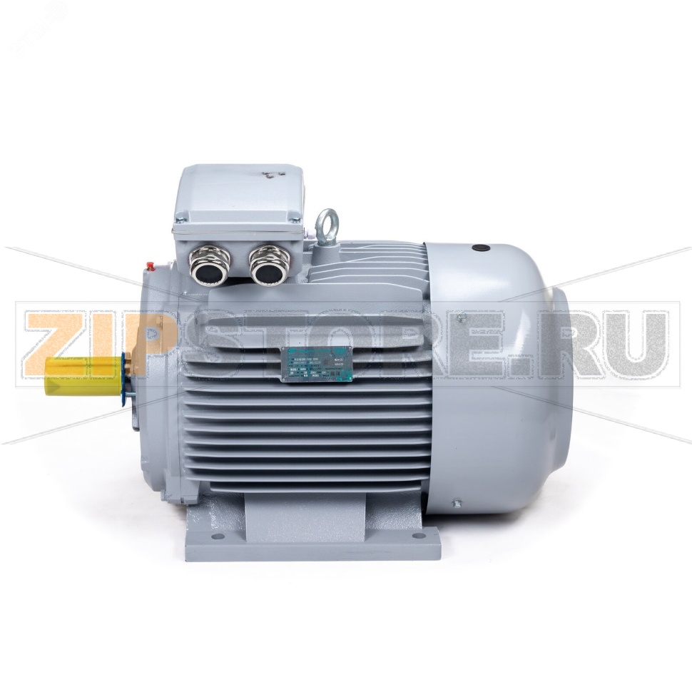 Электродвигатель 30 кВт, 380/660 В, 3000 об/мин, IP55 ESQ 01.05.02.000025 