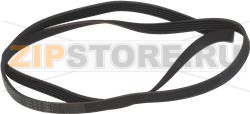 BELT HUTCHINSON 1301 J5 