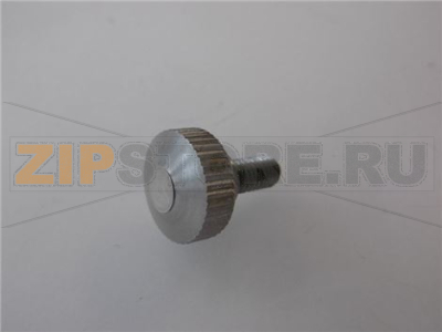 VITE PARAFETTA M5x10 mm TESTA ø 14 mm 