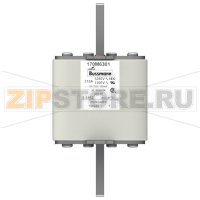 Предохранитель, 315 A, AC 1250 В, 100 кА, size 3, 76x76x155 мм, aR, IEC Eaton FUSE 315A 1250V 3