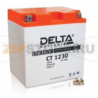 Delta CT 1230 Герметизированный, необслуживаемый аккумулятор Delta CT 1230Напряжение - 12В; Емкость - 30Ач;Габариты: 168х126х175, Вес: 8.5 кгТехнология аккумулятора: AGM VRLA Battery
