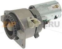 КОФЕМОЛКА В СБОРЕ ЛЕВОСТОРОННЯЯ