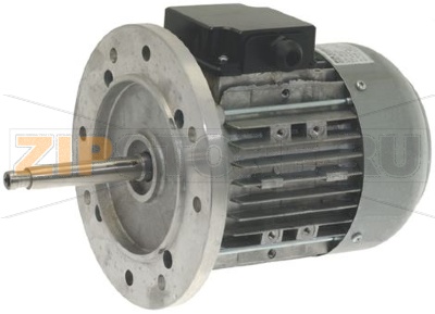 MOTORE TRIFASE 1031/4-8 400V 50/60Hz 