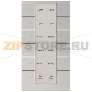 Элемент управления, 12-клавишный, SB/U12.0.1-83, серебристый алюминий ABB 2CKA006330A0080 