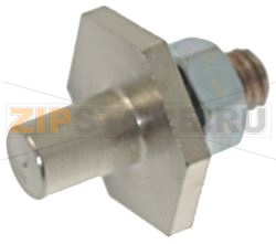 PERNO CERNIERA INFERIORE FERMO PORTA 