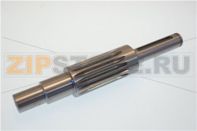 PIGNONE 15 DENTI TP NUOVO L205 