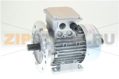 MOTORE 80 3F 1,1KW B35 BS 50/60Hz 