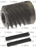 ЧЕРВЯЧНЫЙ ВИНТ