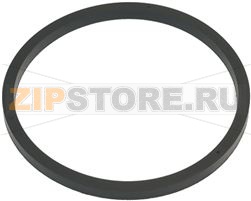 GUARNIZIONE INTERNA CAMPANA 