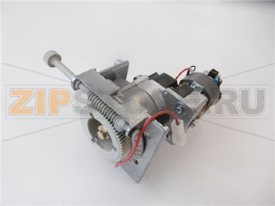 ASS.MACINACAFFE&amp;#039; D. 48 