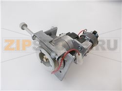 ASS.MACINACAFFE&#039; D. 48 