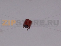 Fuse 2 A    (round plug fuse)