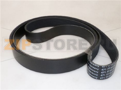 CINGHIA 8 GOLE h 32 mm 