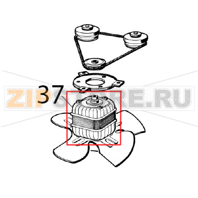 Fan/pump motor 115 V, 60 Hz Ugolini Arctic Compact 8/4 Fan/pump motor 115 V, 60 Hz Ugolini Arctic Compact 8/4Запчасть на деталировке под номером: 37