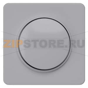 DELTA PROFIL СЕРЕБРЯНЫЙ ЦЕНТРАЛЬНЫЙ ЭЛЕМЕНТ ДИЗАЙНА ДЛЯ ДИММЕРА С ПОВОРОТНОЙ КНОПКОЙ 65X65MM Siemens 5TC8906 