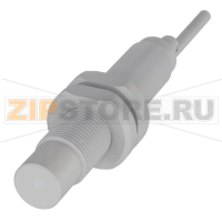 Датчик уровня наполнения емкостной, контактирующий со средой Balluff BCS009K